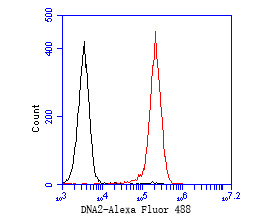 Fig6:; Flow cytometric analysis of DNA2 was done on HL-60 cells. The cells were fixed, permeabilized and stained with the primary antibody ( 1/50) (red). After incubation of the primary antibody at room temperature for an hour, the cells were stained with a Alexa Fluor 488-conjugated Goat anti-Rabbit IgG Secondary antibody at 1/1000 dilution for 30 minutes.Unlabelled sample was used as a control (cells without incubation with primary antibody; black).