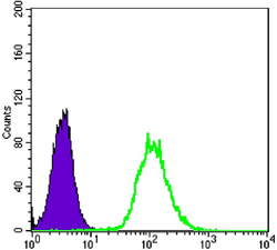Flow cytometric analysis of Hela cells using anti-CK7 mAb (green) and negative control (purple).