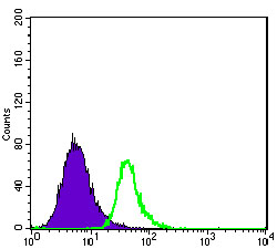 Flow cytometric analysis of HepG2 cells using ABCG2 mouse mAb (green) and negative control (purple).