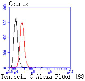 Fig2:; Flow cytometric analysis of Tenascin C was done on SH-SY5Y cells. The cells were fixed, permeabilized and stained with the primary antibody ( 1/50) (red). After incubation of the primary antibody at room temperature for an hour, the cells were stained with a Alexa Fluor 488-conjugated Goat anti-Rabbit IgG Secondary antibody at 1/1000 dilution for 30 minutes.Unlabelled sample was used as a control (cells without incubation with primary antibody; black).