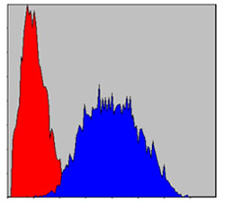 Flow cytometric analysis of Hela cells using PINCH mouse mAb (blue) and negative control (red).