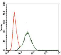 Flow cytometric analysis of NIH3T3 cells using PIK3R1 mouse mAb (green) and negative control (red).