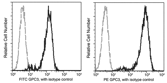 Glypican 3 / GPC3 / OCI-5 Antibody, Rabbit MAb, Flow Cytometry