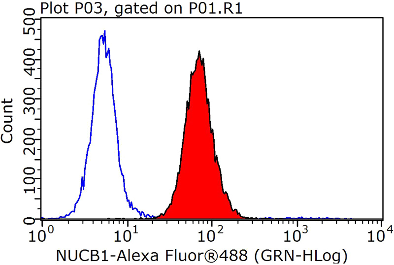 1X10^6 HepG2 cells were stained with 0.2ug NUCB1 antibody (Catalog No:113408, red) and control antibody (blue). Fixed with 90% MeOH blocked with 3% BSA (30 min). Alexa Fluor 488-congugated AffiniPure Goat Anti-Rabbit IgG(H+L) with dilution 1:1000.
