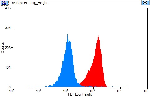 1X10^6 HeLa cells were stained with 0.2ug 14-3-3 antibody (Catalog No:107550, red) and control antibody (blue). Fixed with 90% MeOH blocked with 3% BSA (30 min). Alexa Fluor 488-congugated AffiniPure Goat Anti-Mouse IgG(H+L) with dilution 1:1500.