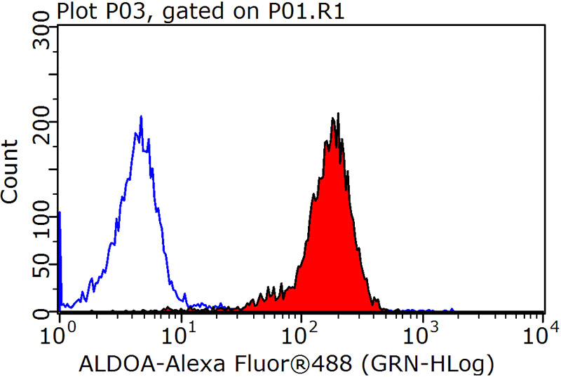 1X10^6 HeLa cells were stained with 0.2ug ALDOA antibody (Catalog No:107976, red) and control antibody (blue). Fixed with 90% MeOH blocked with 3% BSA (30 min). Alexa Fluor 488-congugated AffiniPure Goat Anti-Rabbit IgG(H+L) with dilution 1:1000.