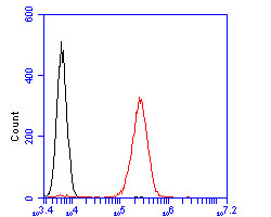 Fig5:; Flow cytometric analysis of KCNQ4 was done on K562 cells. The cells were fixed, permeabilized and stained with the primary antibody ( 1/100) (red). After incubation of the primary antibody at room temperature for an hour, the cells were stained with a Alexa Fluor 488-conjugated goat anti-rabbit IgG Secondary antibody at 1/500 dilution for 30 minutes.Unlabelled sample was used as a control (cells without incubation with primary antibody; black).