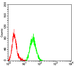 Fig4: Flow cytometric analysis of WDFY3 was done on Hela cells. The cells were fixed, permeabilized and stained with the primary antibody ( 1/100) (green). After incubation of the primary antibody at room temperature for an hour, the cells were stained with a Alexa Fluor 488-conjugated goat anti-Mouse IgG Secondary antibody at 1/500 dilution for 30 minutes. Unlabelled sample was used as a control (cells without incubation with primary antibody; red).