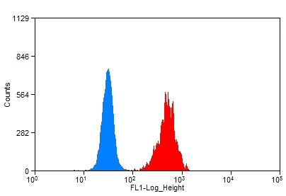 1X10^6 HeLa cells were stained with 0.2ug 14-3-3 antibody (Catalog No:107658, red) and control antibody (blue). Fixed with 90% MeOH blocked with 3% BSA (30 min). Alexa Fluor 488-congugated AffiniPure Goat Anti-Rabbit IgG(H+L) with dilution 1:1500.