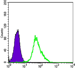 Flow cytometric analysis of Hela cells using anti-MAP2K2 mAb (green) and negative control (purple).