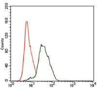Flow cytometric analysis of HeLa cells using TWF1 mouse mAb (green) and negative control (red).