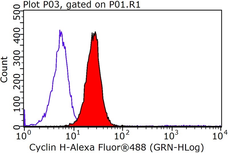 1X10^6 SH-SY5Y cells were stained with 0.2ug CCNH antibody (Catalog No:109668, red) and control antibody (blue). Fixed with 90% MeOH blocked with 3% BSA (30 min). Alexa Fluor 488-congugated AffiniPure Goat Anti-Rabbit IgG(H+L) with dilution 1:100.
