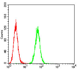 Fig6: Flow cytometric analysis of P2RY8 was done on Hela cells. The cells were fixed, permeabilized and stained with the primary antibody ( 1/100) (green). After incubation of the primary antibody at room temperature for an hour, the cells were stained with a Alexa Fluor 488-conjugated goat anti-Mouse IgG Secondary antibody at 1/500 dilution for 30 minutes. Unlabelled sample was used as a control (cells without incubation with primary antibody; red).