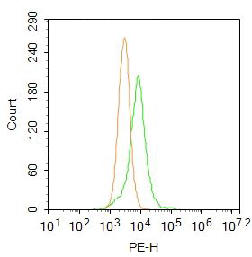 Fig2: Blank control: HepG2.; Primary Antibody (green line): Rabbit Anti-Acrosin antibody ; Dilution: 1μg /10^6 cells;; Isotype Control Antibody (orange line): Rabbit IgG .; Secondary Antibody : Goat anti-rabbit IgG-PE; Dilution: 1μg /test.; Protocol; The cells were fixed with 4% PFA (10min at room temperature)and then permeabilized with 90% ice-cold methanol for 20 min at-20℃. The cells were then incubated in 5%BSA to block non-specific protein-protein interactions for 30 min at at room temperature .Cells stained with Primary Antibody for 30 min at room temperature. The secondary antibody used for 40 min at room temperature. Acquisition of 20,000 events was performed.