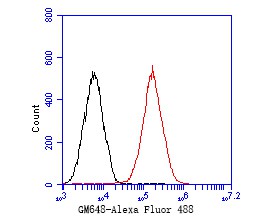 Fig7:; Flow cytometric analysis of GM648 was done on F9 cells. The cells were fixed, permeabilized and stained with the primary antibody ( 1/50) (red). After incubation of the primary antibody at room temperature for an hour, the cells were stained with a Alexa Fluor 488-conjugated Goat anti-Rabbit IgG Secondary antibody at 1/1000 dilution for 30 minutes.Unlabelled sample was used as a control (cells without incubation with primary antibody; black).
