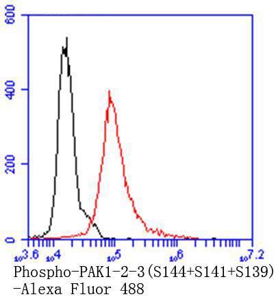Fig7:; Flow cytometric analysis of Phospho-PAK1(S144)+PAK2(S141)+PAK3(S139) was done on NIH/3T3 cells. The cells were fixed, permeabilized and stained with the primary antibody ( 1/50) (red). After incubation of the primary antibody at room temperature for an hour, the cells were stained with a Alexa Fluor 488-conjugated Goat anti-Rabbit IgG Secondary antibody at 1/1000 dilution for 30 minutes.Unlabelled sample was used as a control (cells without incubation with primary antibody; black).