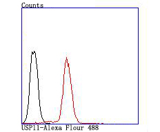 Fig7:; Flow cytometric analysis of USP11 was done on Jurkat cells. The cells were fixed, permeabilized and stained with the primary antibody ( 1/50) (red). After incubation of the primary antibody at room temperature for an hour, the cells were stained with a Alexa Fluor®488 conjugate-Goat anti-Rabbit IgG Secondary antibody at 1/1,000 dilution for 30 minutes.Unlabelled sample was used as a control (cells without incubation with primary antibody; black).