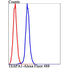 Fig7: Flow cytometric analysis of HepG2 cells with TESPA1 antibody at 1/100 dilution (blue) compared with an unlabelled control (cells without incubation with primary antibody; red). Alexa Fluor 488-conjugated goat anti-rabbit IgG was used as the secondar