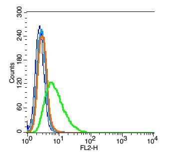 Fig3: Blank control: RSC96(blue).; Primary Antibody:Rabbit Anti-BSX antibody , Dilution: 1μg in 100 μL 1X PBS containing 0.5% BSA;; Isotype Control Antibody(blue):Rabbit IgG(fixed with 2% paraformaldehyde (10 min) and then permeabilized with ice-cold 90% methanol for 30 min on ice) ,used under the same conditions );; Secondary Antibody: Goat anti-rabbit IgG-PE(white blue), Dilution: 1:200 in 1 X PBS containing 0.5% BSA.