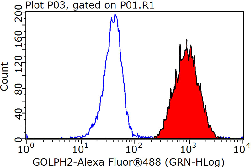 1X10^6 HeLa cells were stained with 0.2ug GOLM1 antibody (Catalog No:111054, red) and control antibody (blue). Fixed with 90% MeOH blocked with 3% BSA (30 min). Alexa Fluor 488-congugated AffiniPure Goat Anti-Rabbit IgG(H+L) with dilution 1:1000.