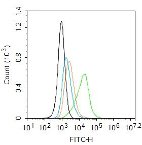 Fig3: Blank control: Raji.; Primary Antibody (green line): Rabbit Anti-P2Y8 antibody ; Dilution: 2μg /10^6 cells;; Isotype Control Antibody (orange line): Rabbit IgG .; Secondary Antibody : Goat anti-rabbit IgG-AF488; Dilution: 1μg /test.; Protocol; The cells were incubated in 5%BSA to block non-specific protein-protein interactions for 30 min at at room temperature .Cells stained with Primary Antibody for 30 min at room temperature. The secondary antibody used for 40 min at room temperature. Acquisition of 20,000 events was performed.