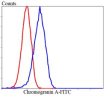 Fig5: Flow cytometric analysis of Lovo cells with chromogranin A antibody at 1/100 dilution (blue) compared with an unlabelled control (cells without incubation with primary antibody; red). Goat anti rabbit IgG (FITC) was used as the secondary antibody.