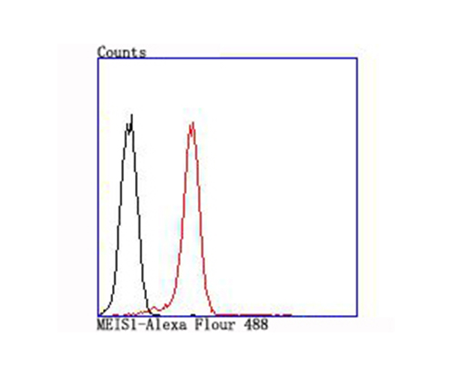 Fig2:; Flow cytometric analysis of MEIS1 was done on K562 cells. The cells were fixed, permeabilized and stained with the primary antibody ( 1/50) (red). After incubation of the primary antibody at room temperature for an hour, the cells were stained with a Alexa Fluor 488-conjugated Goat anti-Rabbit IgG Secondary antibody at 1/1000 dilution for 30 minutes.Unlabelled sample was used as a control (cells without incubation with primary antibody; black).