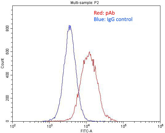 1X10^6 HepG2 cells were stained with 0.2ug HNRNPU antibody (Catalog No:111513, red) and control antibody (blue). Fixed with 4% PFA blocked with 3% BSA (30 min). Alexa Fluor 488-congugated AffiniPure Goat Anti-Rabbit IgG(H+L) with dilution 1:1500.