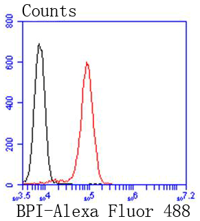 Fig2:; Flow cytometric analysis of BPI was done on Jurkat cells. The cells were fixed, permeabilized and stained with the primary antibody ( 1/50) (red). After incubation of the primary antibody at room temperature for an hour, the cells were stained with a Alexa Fluor 488-conjugated Goat anti-Rabbit IgG Secondary antibody at 1/1000 dilution for 30 minutes.Unlabelled sample was used as a control (cells without incubation with primary antibody; black).