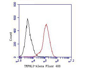 Fig3: Flow cytometric analysis of TRPML3 was done on F9 cells. The cells were fixed, permeabilized and stained with the primary antibody ( 1/50) (red). After incubation of the primary antibody at room temperature for an hour, the cells were stained with a Alexa Fluor 488-conjugated Goat anti-Rabbit IgG Secondary antibody at 1/1000 dilution for 30 minutes.Unlabelled sample was used as a control (cells without incubation with primary antibody; black).
