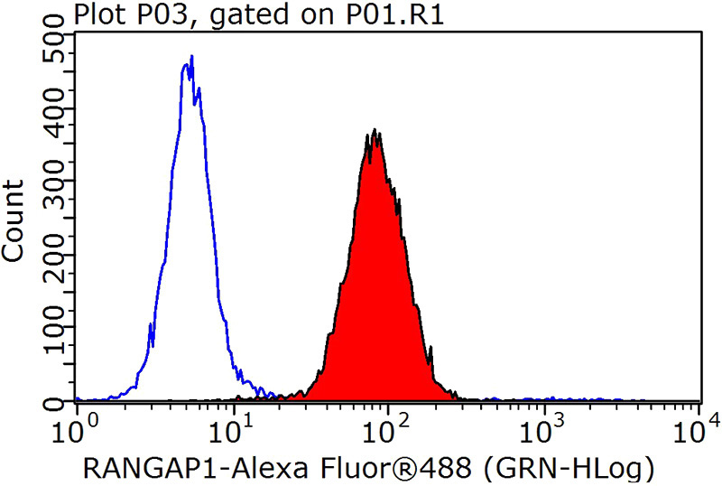 1X10^6 HepG2 cells were stained with 0.2ug RANGAP1 antibody (Catalog No:114542, red) and control antibody (blue). Fixed with 90% MeOH blocked with 3% BSA (30 min). Alexa Fluor 488-congugated AffiniPure Goat Anti-Rabbit IgG(H+L) with dilution 1:1000.