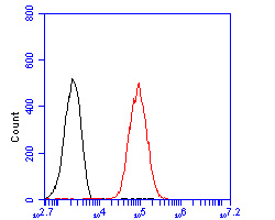 Fig8:; Flow cytometric analysis of SYNDIG1 was done on F9 cells. The cells were fixed, permeabilized and stained with the primary antibody ( 1/100) (red). After incubation of the primary antibody at room temperature for an hour, the cells were stained with a Alexa Fluor 488-conjugated goat anti-rabbit IgG Secondary antibody at 1/500 dilution for 30 minutes.Unlabelled sample was used as a control (cells without incubation with primary antibody; black).