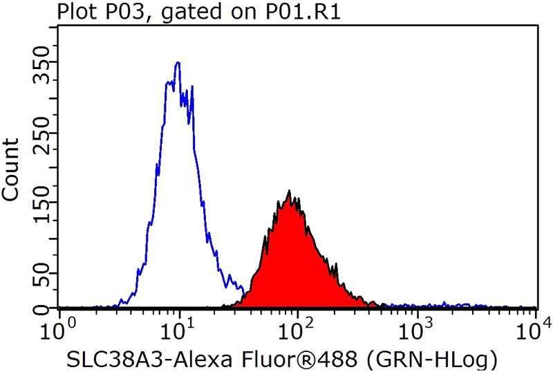 1X10^6 HeLa cells were stained with 0.2ug SLC38A3 antibody (Catalog No:115374, red) and control antibody (blue). Fixed with 90% MeOH blocked with 3% BSA (30 min). Alexa Fluor 488-congugated AffiniPure Goat Anti-Rabbit IgG(H+L) with dilution 1:1000.