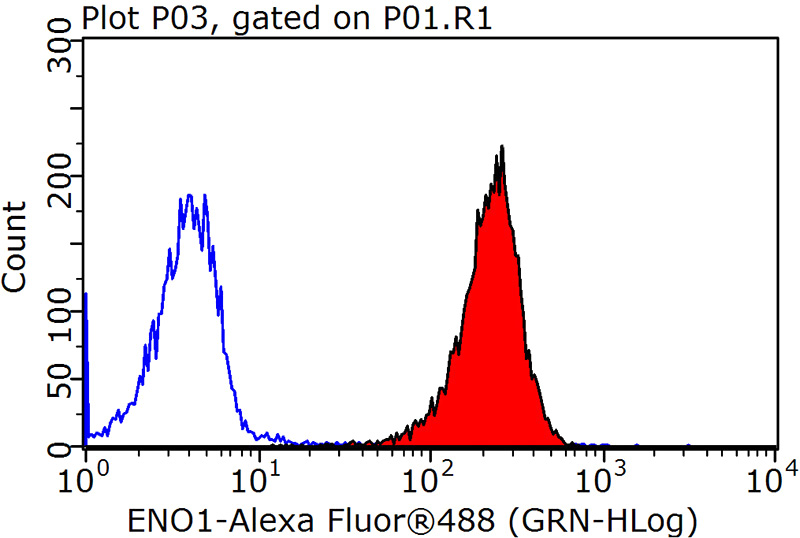 1X10^6 HeLa cells were stained with 0.2ug ENO1 antibody (Catalog No:110253, red) and control antibody (blue). Fixed with 90% MeOH blocked with 3% BSA (30 min). Alexa Fluor 488-congugated AffiniPure Goat Anti-Rabbit IgG(H+L) with dilution 1:1500.