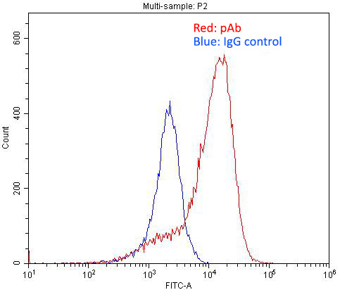 1X10^6 PC-3 cells were stained with 0.2ug BMPR2 antibody (Catalog No:117204, red) and control antibody (blue). Fixed with 4% PFA blocked with 3% BSA (30 min). Alexa Fluor 488-congugated AffiniPure Goat Anti-Rabbit IgG(H+L) with dilution 1:1500.