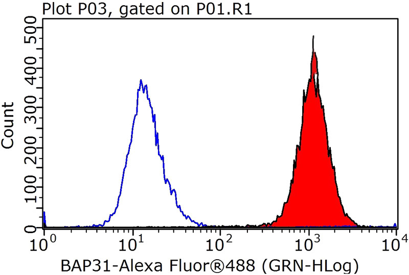 1X10^6 HeLa cells were stained with 0.2ug BCAP31 antibody (Catalog No:108421, red) and control antibody (blue). Fixed with 90% MeOH blocked with 3% BSA (30 min). Alexa Fluor 488-congugated AffiniPure Goat Anti-Rabbit IgG(H+L) with dilution 1:1000.