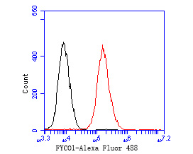 Fig7:; Flow cytometric analysis of FYCO1 was done on 293 cells. The cells were fixed, permeabilized and stained with the primary antibody ( 1/50) (red). After incubation of the primary antibody at room temperature for an hour, the cells were stained with a Alexa Fluor 488-conjugated Goat anti-Rabbit IgG Secondary antibody at 1/1000 dilution for 30 minutes.Unlabelled sample was used as a control (cells without incubation with primary antibody; black).