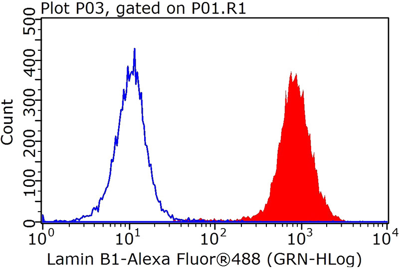 1X10^6 HEK-293 cells were stained with 0.2ug Lamin B1 antibody (Catalog No:117329, red) and control antibody (blue). Fixed with 90% MeOH blocked with 3% BSA (30 min). FITC-Goat anti-Rabbit IgG with dilution 1:100.