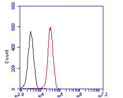 Fig8:; Flow cytometric analysis of NHE-1 was done on 293T cells. The cells were fixed, permeabilized and stained with the primary antibody ( 1/100) (red). After incubation of the primary antibody at room temperature for an hour, the cells were stained with a Alexa Fluor 488-conjugated goat anti-rabbit IgG Secondary antibody at 1/500 dilution for 30 minutes.Unlabelled sample was used as a control (cells without incubation with primary antibody; black).