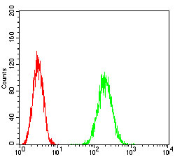 Flow cytometric analysis of Hela cells using HPRT1 mouse mAb (green) and negative control (red).