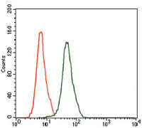 Flow cytometric analysis of HeLa cells using MAPK8 mouse mAb (green) and negative control (red).