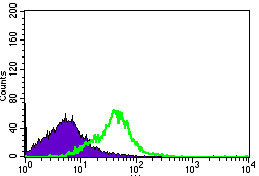 Flow cytometric analysis of HEK293 cells using DNAL4 mouse mAb (green) and negative control (purple).