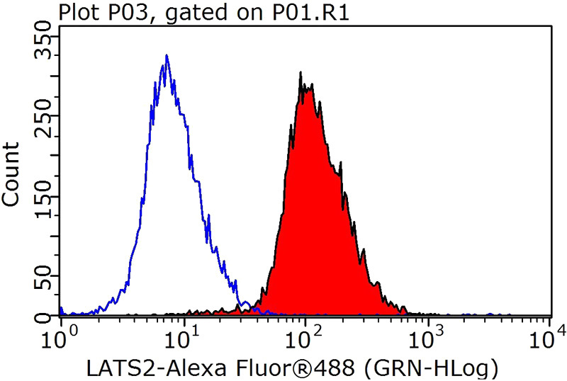 1X10^6 HeLa cells were stained with 0.2ug LATS2-Specific antibody (Catalog No:112157, red) and control antibody (blue). Fixed with 90% MeOH blocked with 3% BSA (30 min). Alexa Fluor 488-congugated AffiniPure Goat Anti-Rabbit IgG(H+L) with dilution 1:1000.