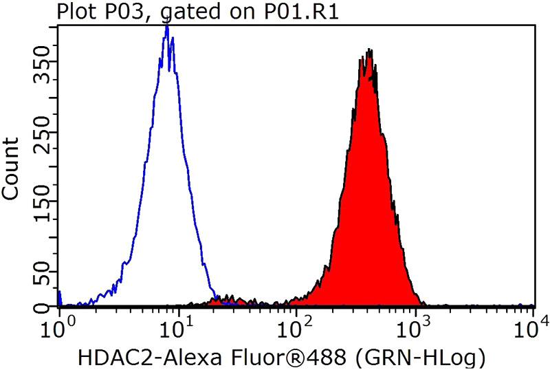 1X10^6 HEK-293T cells were stained with .2ug HDAC2 antibody (Catalog No:111373, red) and control antibody (blue). Fixed with 90% MeOH blocked with 3% BSA (30 min). Alexa Fluor 488-congugated AffiniPure Goat Anti-Rabbit IgG(H+L) with dilution 1:1000.