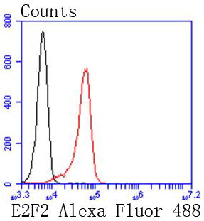 Fig2:; Flow cytometric analysis of E2F2 was done on K562 cells. The cells were fixed, permeabilized and stained with the primary antibody ( 1/50) (red). After incubation of the primary antibody at room temperature for an hour, the cells were stained with a Alexa Fluor 488-conjugated Goat anti-Rabbit IgG Secondary antibody at 1/1000 dilution for 30 minutes.Unlabelled sample was used as a control (cells without incubation with primary antibody; black).