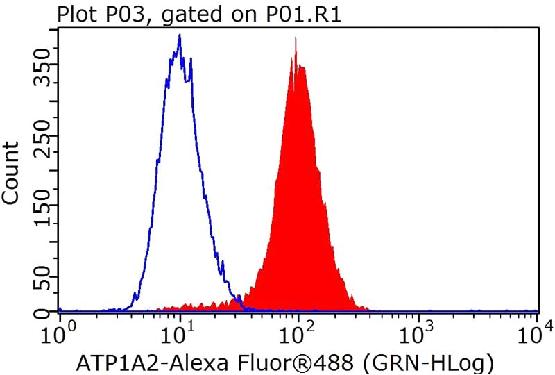 1X10^6 HeLa cells were stained with 0.5ug ATP1A2 antibody (Catalog No:108342, red) and control antibody (blue). Fixed with 4% PFA blocked with 3% BSA (30 min). FITC-Goat anti-Rabbit IgG with dilution 1:100.