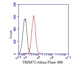 Fig4: Flow cytometric analysis of TRIM72 was done on A549 cells. The cells were fixed, permeabilized and stained with the primary antibody ( 1/50) (red). After incubation of the primary antibody at room temperature for an hour, the cells were stained with a Alexa Fluor 488-conjugated Goat anti-Mouse IgG Secondary antibody at 1/1000 dilution for 30 minutes.Unlabelled sample was used as a control (cells without incubation with primary antibody; black).