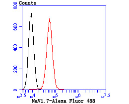 Fig5: Flow cytometric analysis of A549 cells with NaV1.7 antibody at 1/50 dilution (blue) compared with an unlabelled control (cells without incubation with primary antibody; red). Goat anti mouse IgG (FITC) was used as the secondary antibody.
