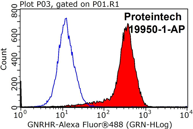 1X10^6 MCF-7 cells were stained with 0.2ug GNRHR antibody (Catalog No:111011, red) and control antibody (blue). Fixed with 90% MeOH blocked with 3% BSA (30 min). Alexa Fluor 488-congugated AffiniPure Goat Anti-Rabbit IgG(H+L) with dilution 1:1000.