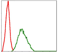 Flow cytometric analysis of NIH/3T3 cells using NQO1 mouse mAb (green) and negative control (red).